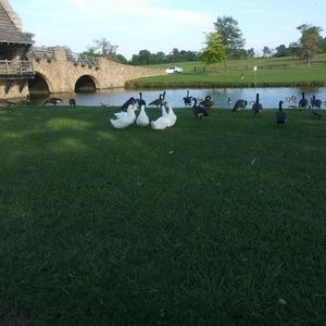 Meet your Posher, Daryle